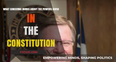 Burus' Concerns: Constitutional Powers Examined