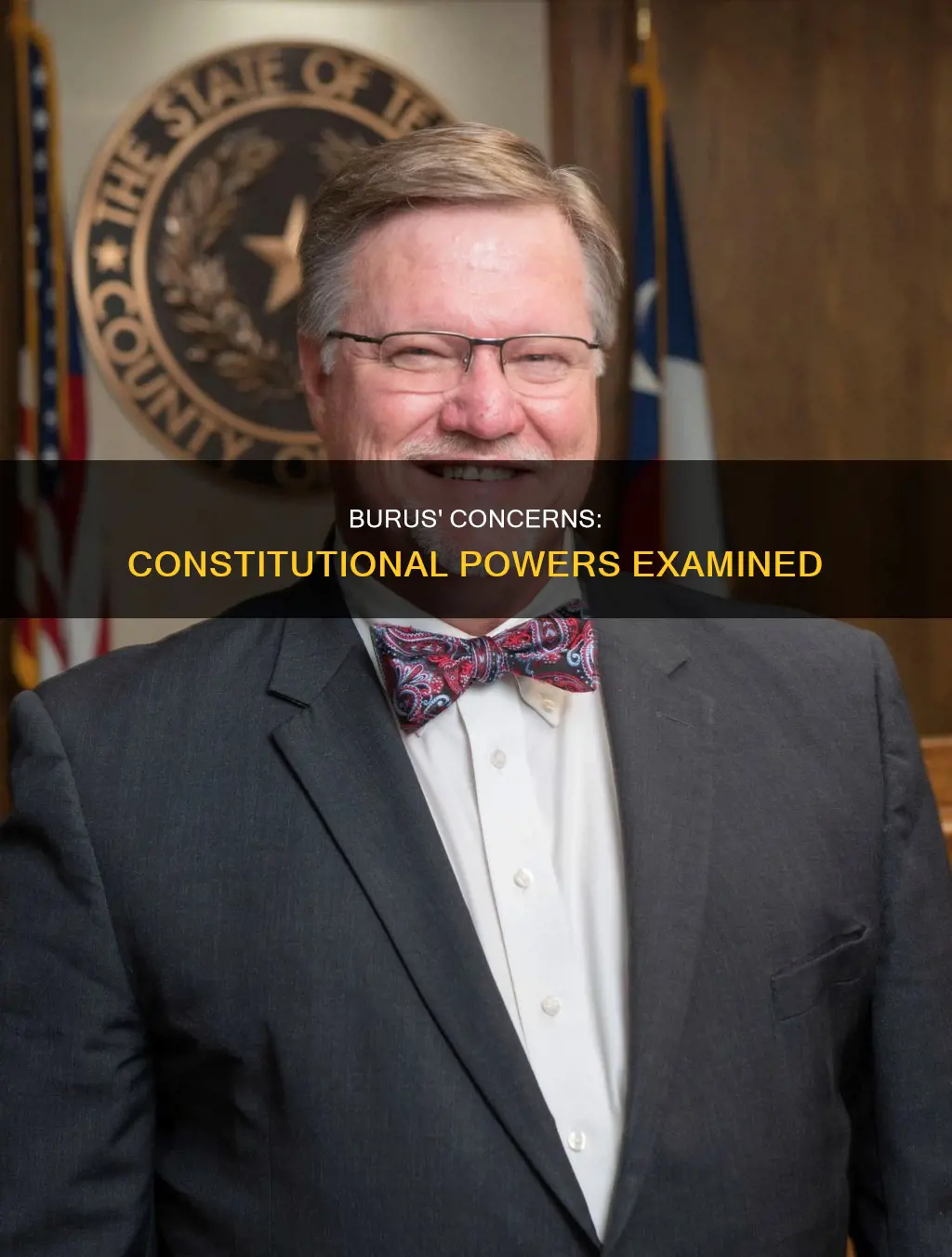 what concerns burus about the powers given in the constitution