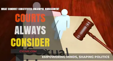 Understanding Harassment: Court's Take on Unlawful Conduct