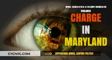 Maryland's Domestic Violence Felony Charges: Understanding the Law