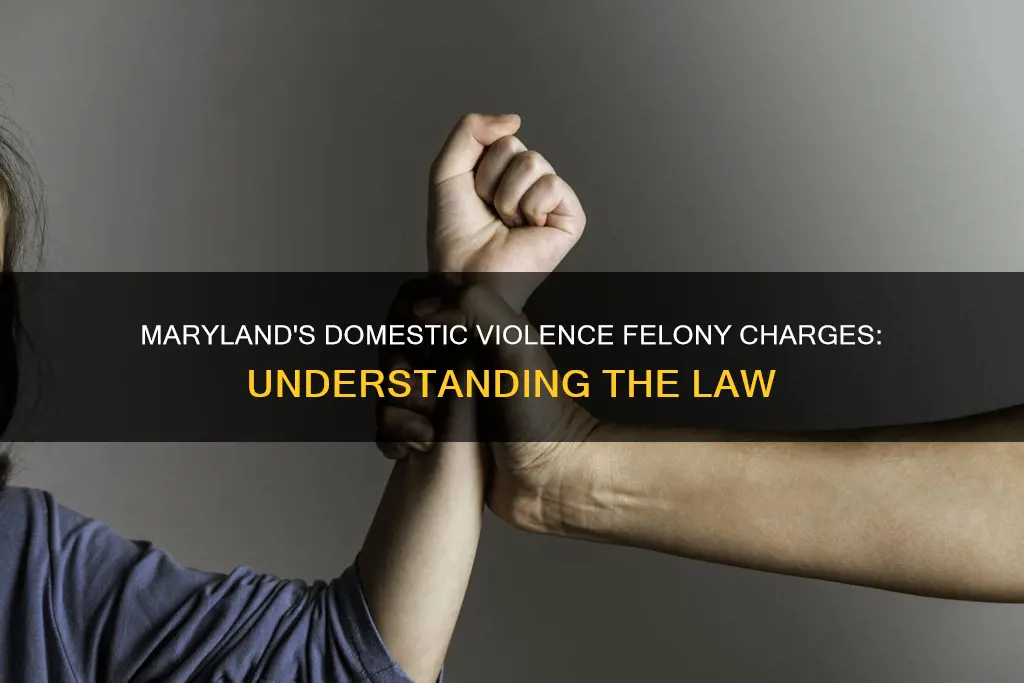 what constitute a felony domestic violance charge in maryland