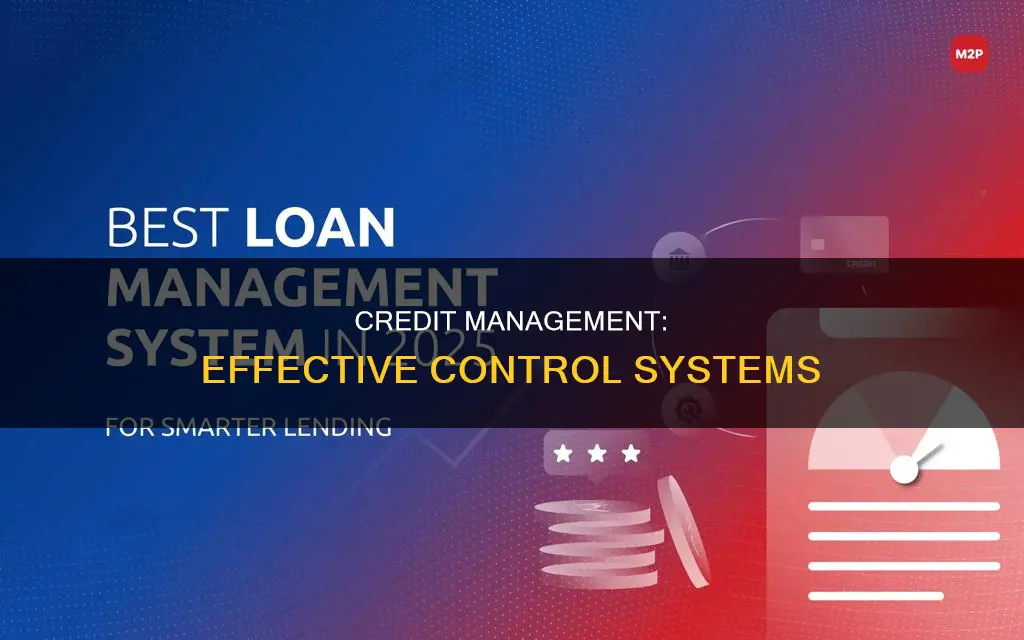 what constitute a good credit management control system