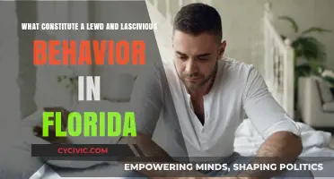 Lewd & Lascivious Behavior: Florida's Strict Laws