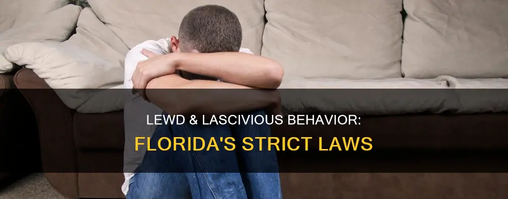 what constitute a lewd and lascivious behavior in florida