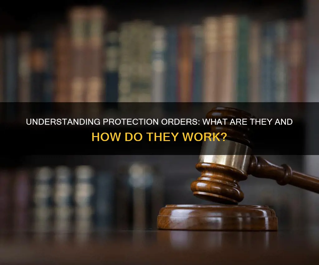 what constitute a protection order