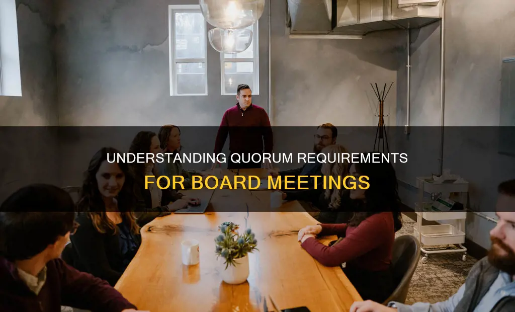 what constitute a quorum in the board meeting
