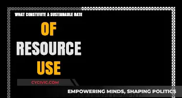 Sustainable Resource Use: Defining a Balanced Rate