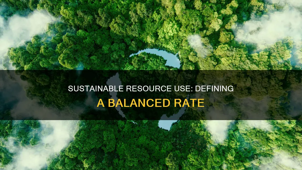 what constitute a sustainable rate of resource use