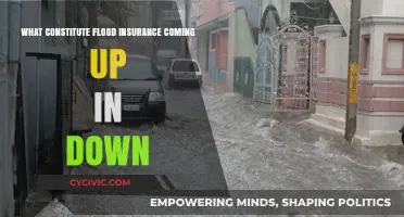 Flood Insurance: What's Covered and What's Not?