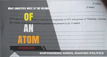 The Vast Emptiness Within Atoms