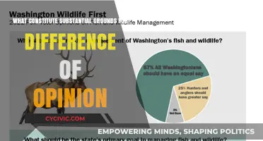 Grounds for Differences of Opinion: What Constitutes Substance?