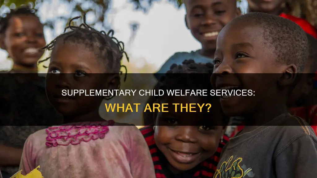 what constitute supplementary services in the area of child welfare