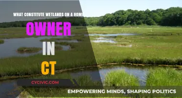 Wetlands: A Guide for Connecticut Homeowners