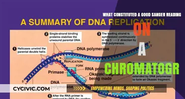 The Key to a Good Sanger Sequencing Chromatogram