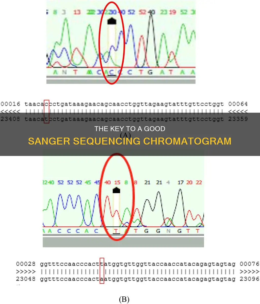 what constituted a good sanger reading on a chromatograph