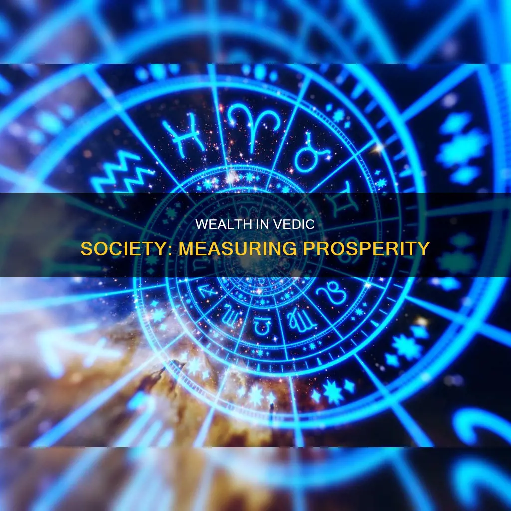 what constituted the measurement of wealth in vedic aryan society