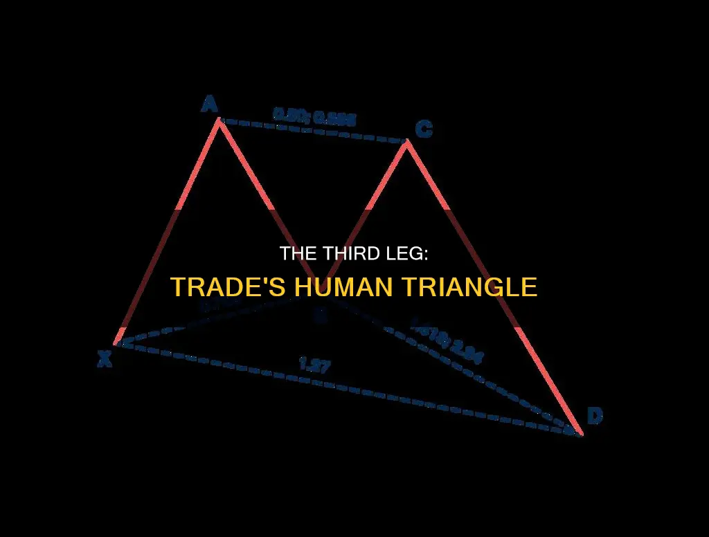 what constituted the third leg of the triangle trade