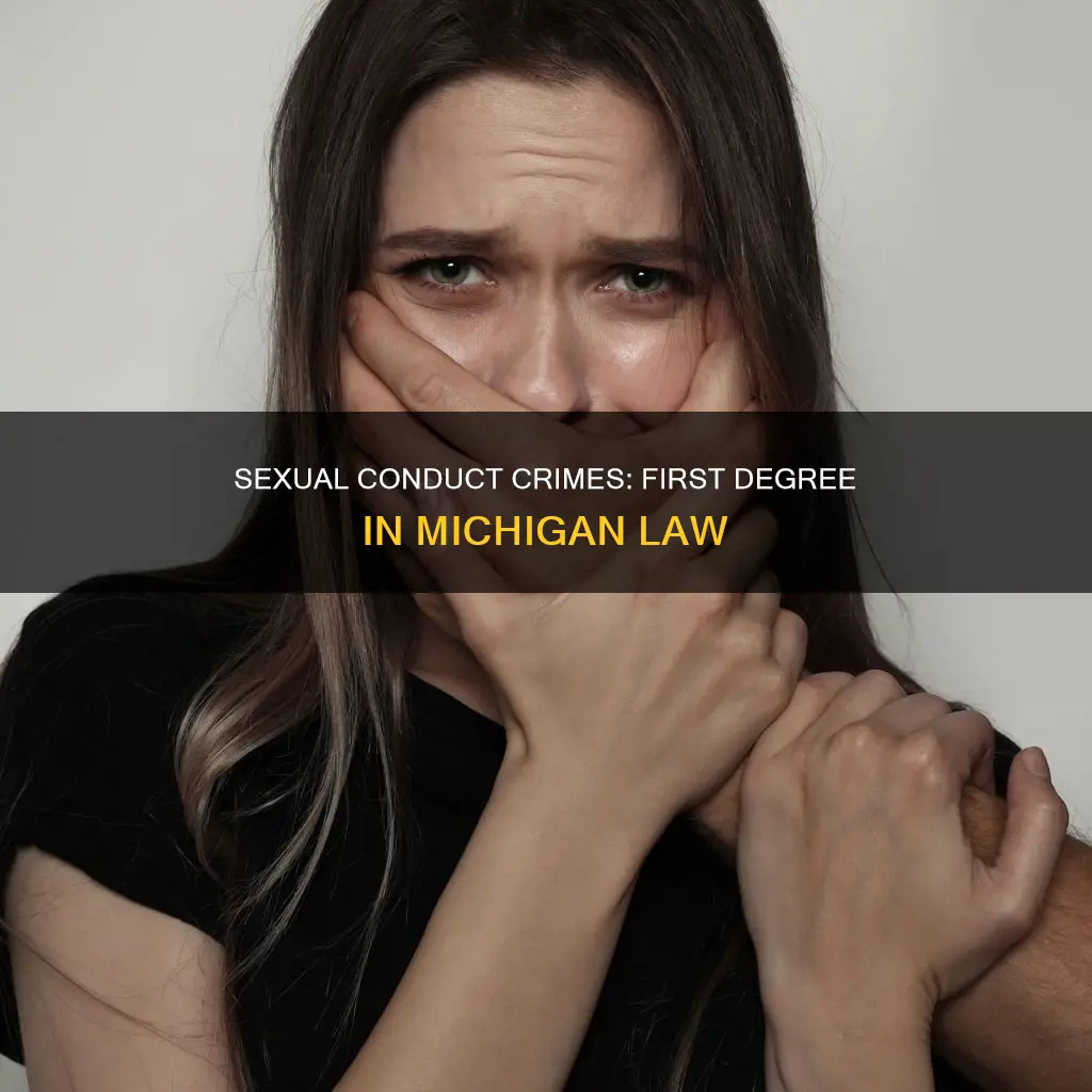 what constitutes 1st degree criminal sexual conduct in michigan