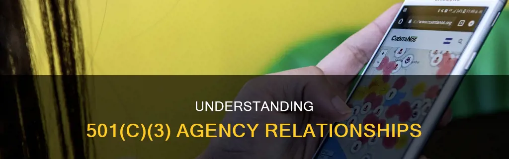 what constitutes 501c3 acting as an agent for another organization