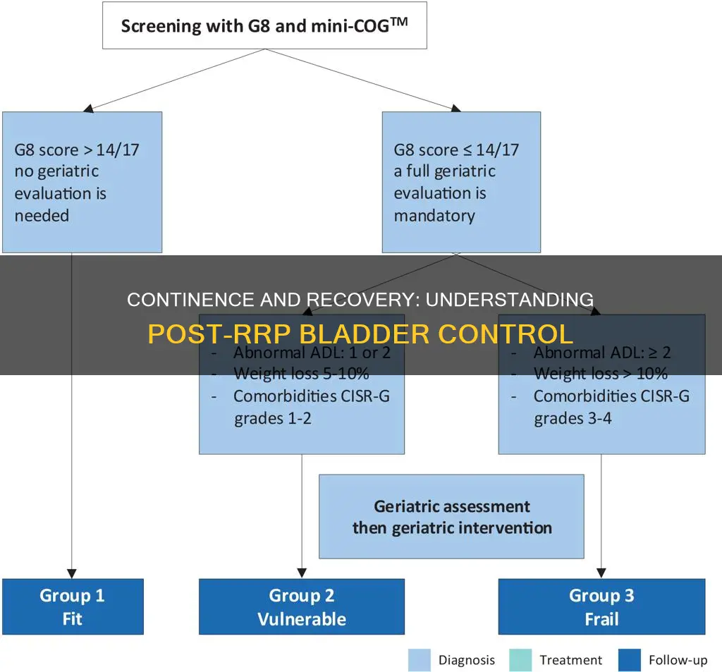 what constitutes 70 to 80 per cent continence after rrp