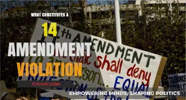 Understanding the 14th Amendment: Violations and Their Implications