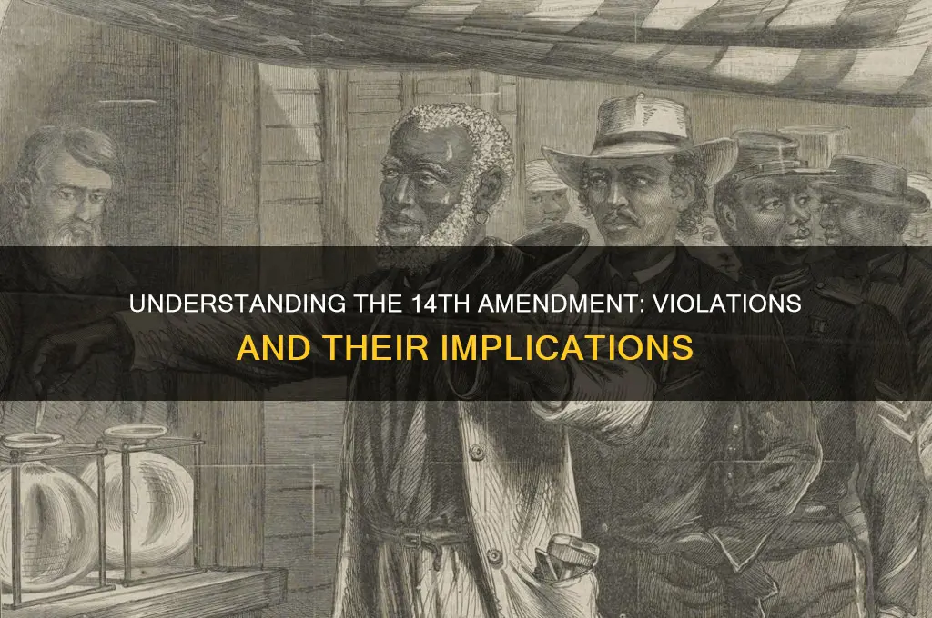 what constitutes a 14 amendment violation