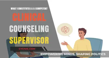 Supervisor Competencies: The Core of Clinical Counseling