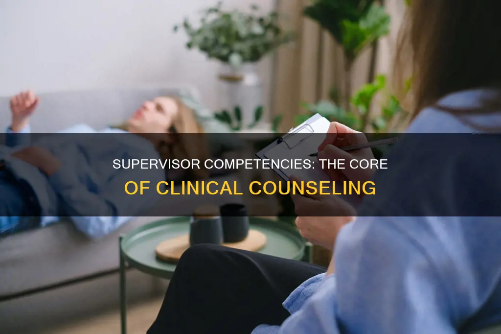 what constitutes a a competent clinical counseling supervisor