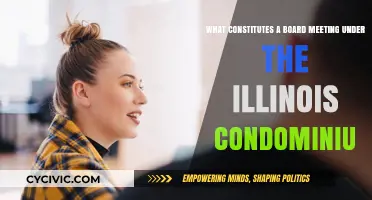 Understanding Illinois Condominium Board Meetings