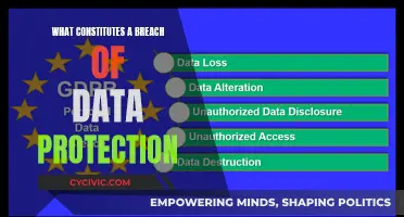 Data Protection: Understanding Breaches and Their Impact