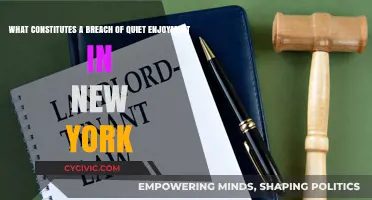Quiet Enjoyment: Understanding Your Rights in New York