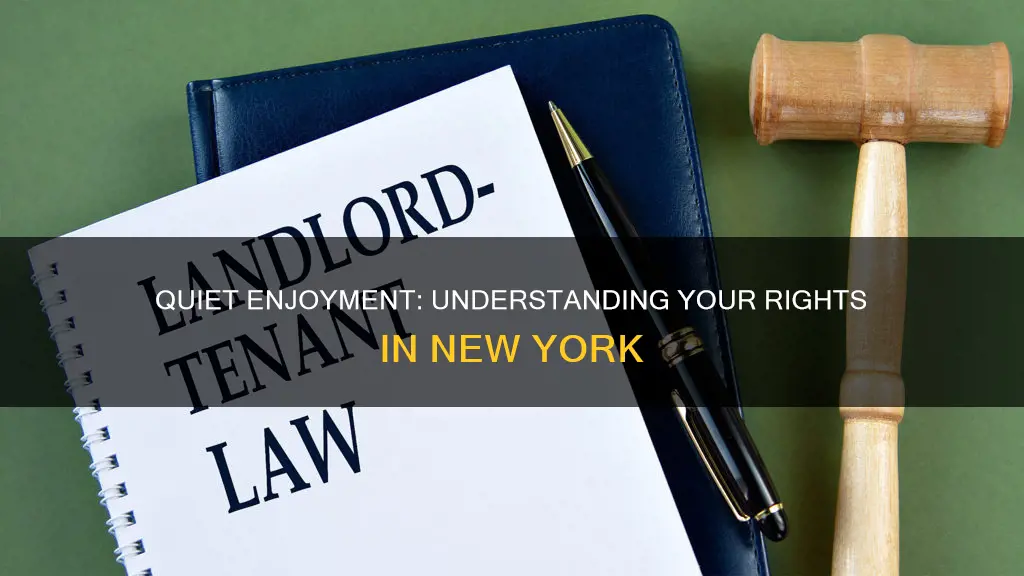 what constitutes a breach of quiet enjoyment in new york