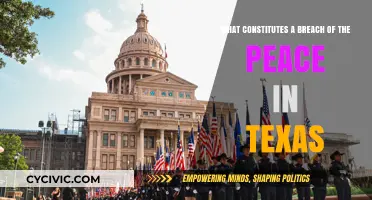 Texas Breach of Peace: Understanding the Law