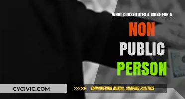 Understanding Bribery: Non-Public Actors and Their Actions