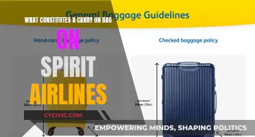 Spirit Airlines: Understanding Carry-On Baggage Rules and Regulations