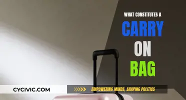 Air Travel: Understanding Carry-On Baggage Essentials