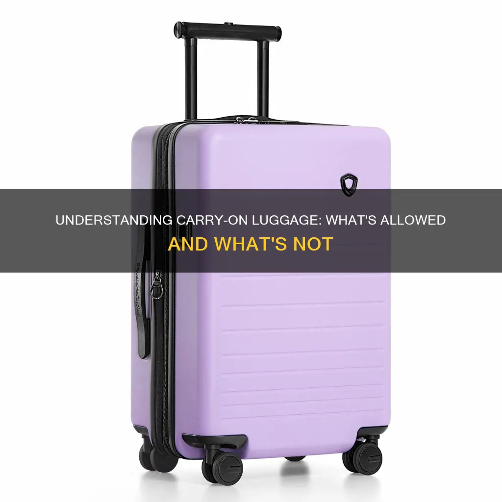 what constitutes a carry on frontierry own