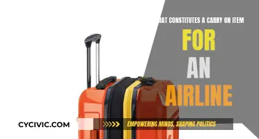 Airline Carry-On Essentials: What's Allowed and What's Not