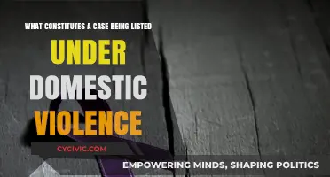 Understanding Domestic Violence Case Classification