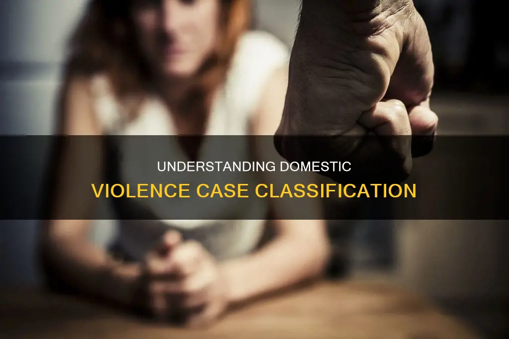 what constitutes a case being listed under domestic violence