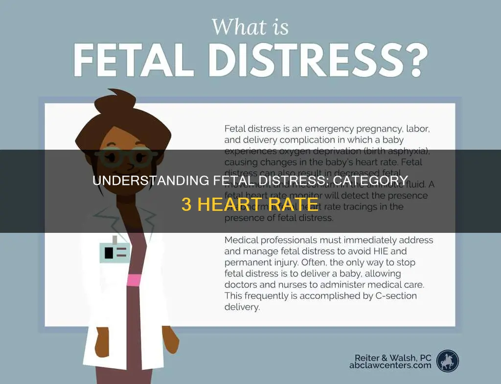 what constitutes a category category 3 in fetal heart rate