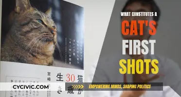 Cat's First Shots: What Vaccines Does Your Kitten Need?