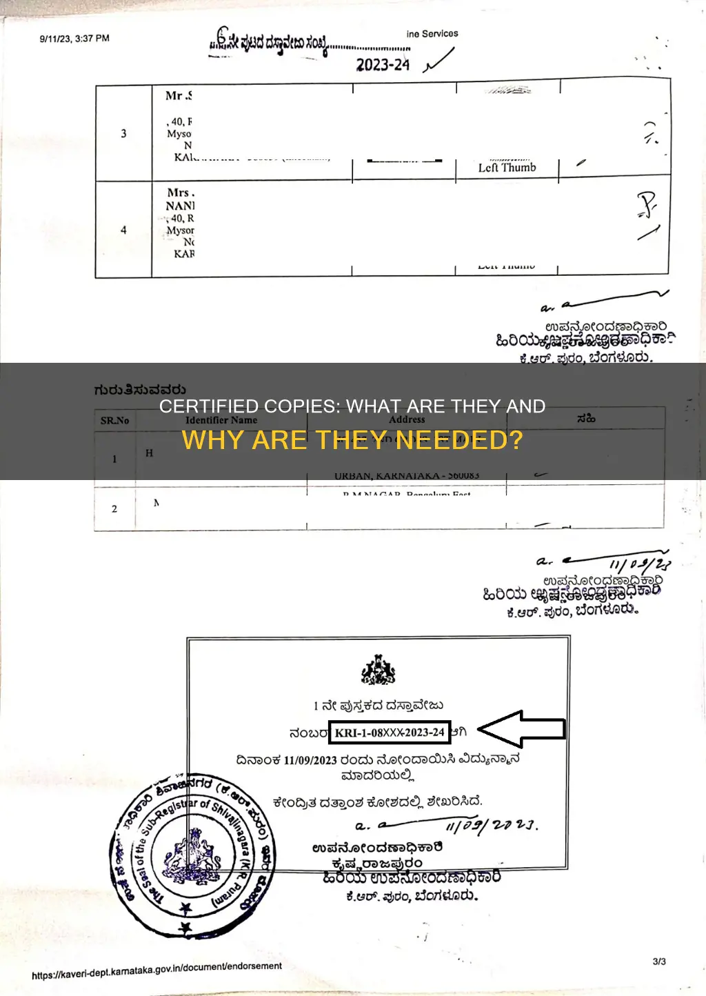 what constitutes a certified copy in relation to source documents