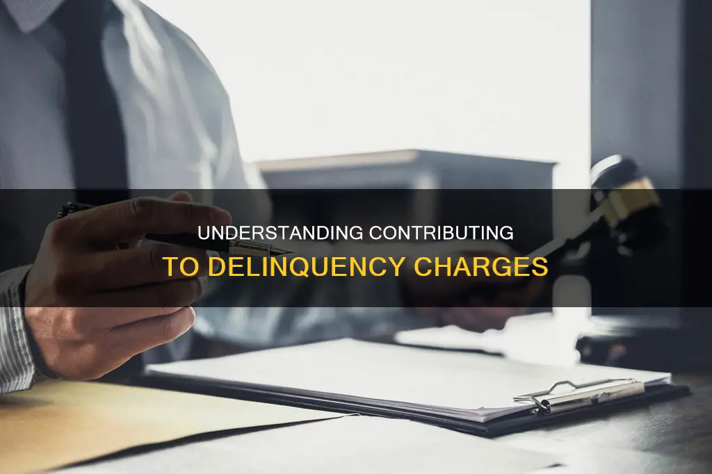 what constitutes a charge of contributuing to the delinquency