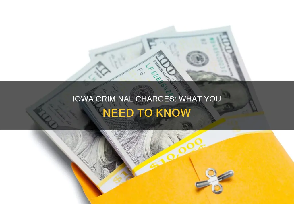 what constitutes a charge of criminal in iowa