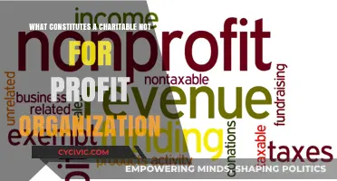 Key Elements of Charitable Not-for-Profit Organizations
