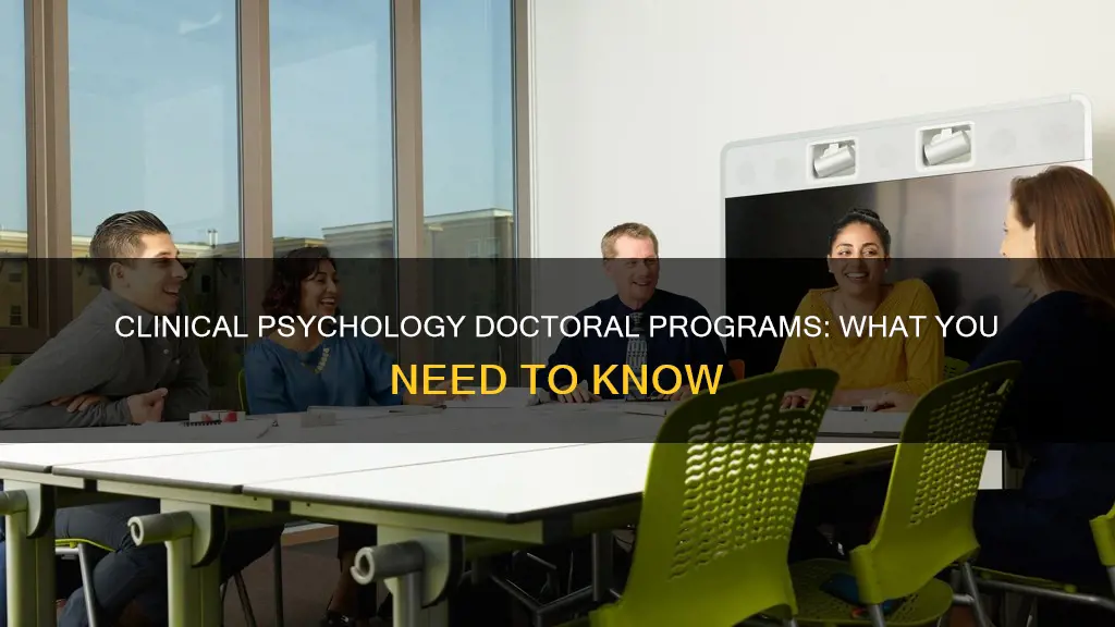 what constitutes a clinical psychological doctoral training program