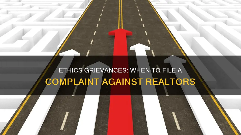 what constitutes a code of ethics grievance against a realtor