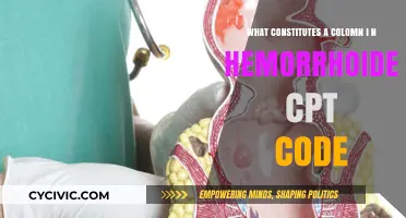 Hemorrhoidectomy CPT Code: What's Included in the Procedure?