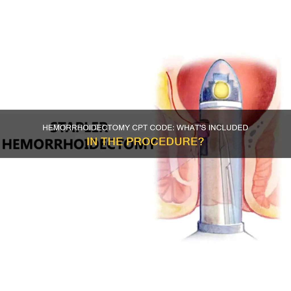 what constitutes a colomn i n hemorrhoidectomy cpt code